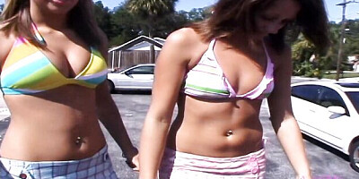 Pornstar's dreamgirlsmembers porn by DreamGirls Members