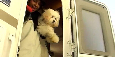 Naughty teen ski babes teasing us flashing