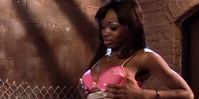 Huge Porn Selection - pornstar trailer