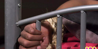 Bedmate's purecfnm trailer