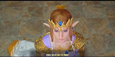 Princess zelda meets her new king
