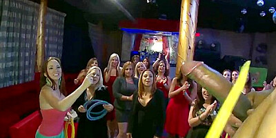 Bubbly Babes Porn - Dancing Bear