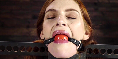 Bound in a steel and anal fucked