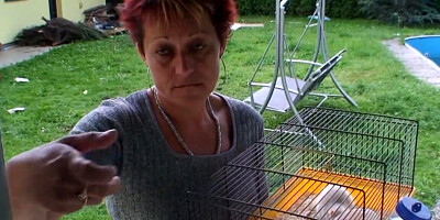 Old mature neighbor sucks and rides a younger big dick