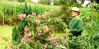 Extreme Movie Pass featuring puss's mature porn