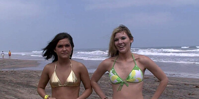 Adorable Coeds Showcasing At The Beach