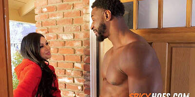 Sizzling Brown-haired Milf Hankers For Her Neighbor's BIG BLACK COCK - Jamie Michelle