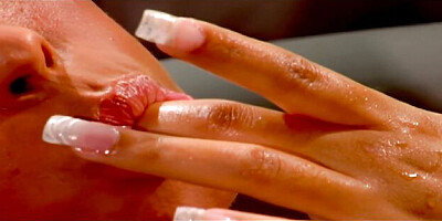 Stylish Bridgette B and Nick Manning's fucking clip