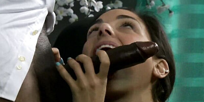 Penthouse featuring Sean Michaels and Trinity st Clair's teen (18+) video