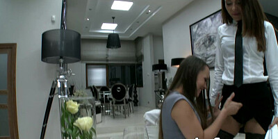 A Day with Blue Angel