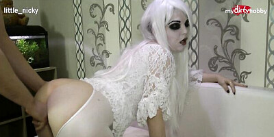 Sweet kitten's cim video