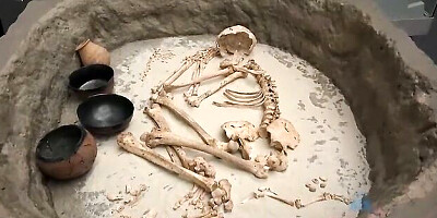 Holly's atkgirlfriends trailer