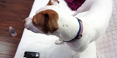 Aphrodisiac Nick Manning and Christy Mack - cumshot clip - PUBA