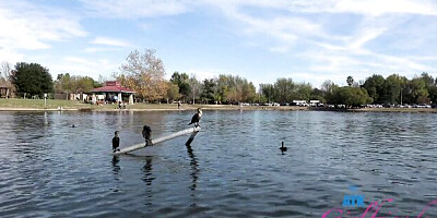 Wet baby's POV video