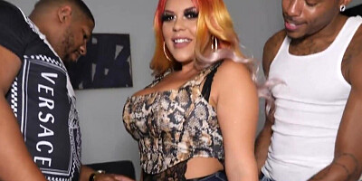 Stacked diva blacked by two black stallions