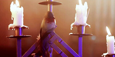 Awesome hardcore fuck with gorgeous Tru Kait and Seth Gamble