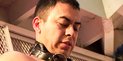 Fiery inamorata - big tits scene