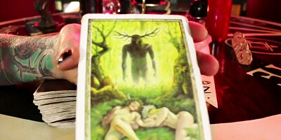 Nice-looking Sarah's tits porn