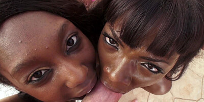 Two black chicks that have lovely faces are performing a blow job