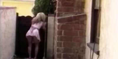 Bruce Seven Films - silicone tits sex