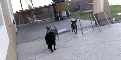 Pleasing Brooke's masturbate movie