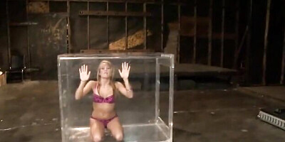 Winning puss at gangbang sex