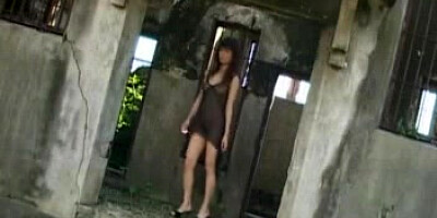 Taiwan chick display 17