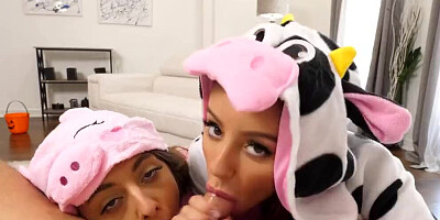 Codey Steele's cock is shared between Gia Derza and Vanna Bardot