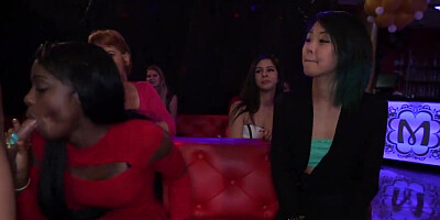 Dancing Bear is getting his cock shared between horny chicks on a party