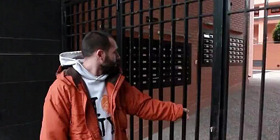 The Little Skunk Fox