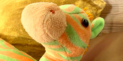 Petite takes a big cock and nice facial