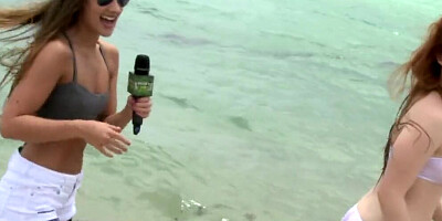 Money Talks - Bikini Bliss