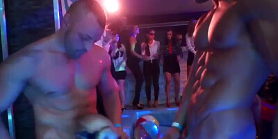 Drunk and horny babes are giving blowjobs to some hung strippers