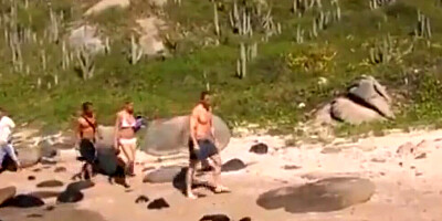 Blonde is gangbanged on a desolated island by a couple of randy blokes