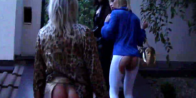 Busty euro glamour skanks deepthroat bbc