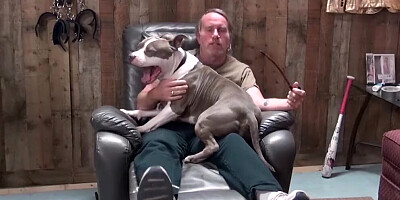 Compilation of hardcore sex scenes with horny MILFs in action