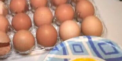 Tattooed MILF os preparing lunch and bang her stepson at the same time