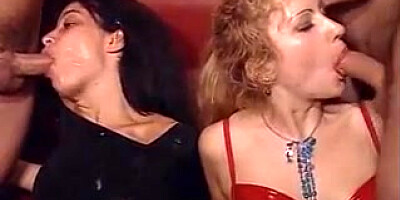 Hussies in nightclub are in strong need of humping