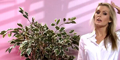 A group of sluts against 1 single cock!!!