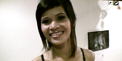 Watch wild bunny's trailer