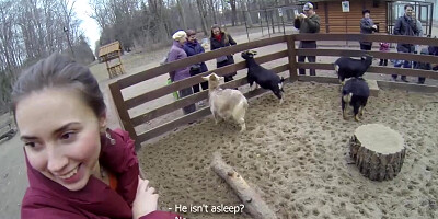 Squirrel foretells hot anal sex