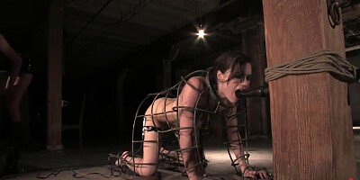 Sasha Grey Dominated By Princess Donna