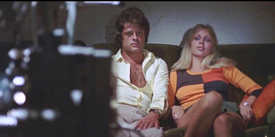 Evelyne Traeger and Ingrid Steeger - Stewardesses Report