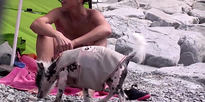 Public Nudity Exposed Beach Amateurs Video
