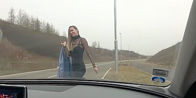 Watch Magnificent Floozys